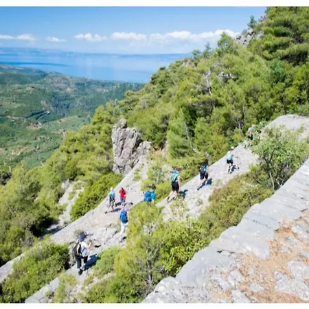Seafront Penthouse Leo *