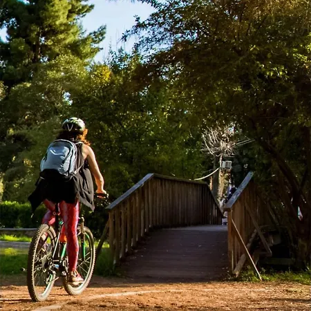 شقة Seafront Penthouse Leo كالاماتا