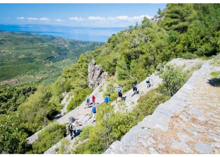 Seafront Penthouse Leo *